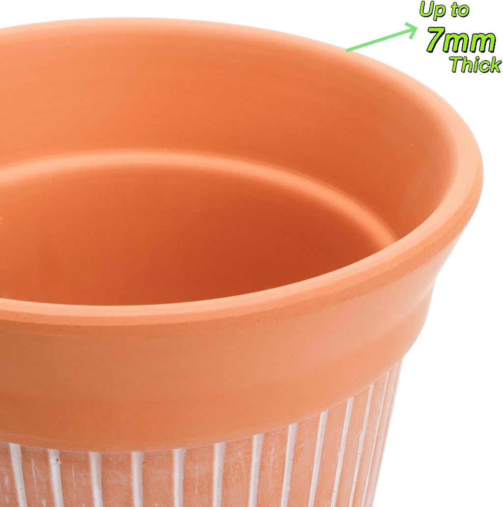 Cedilis 2 Pack Terracotta Pots, 6 inch Red Clay Pots with Drainage and Saucers, Terra Cotta Planter for Garden Cactus