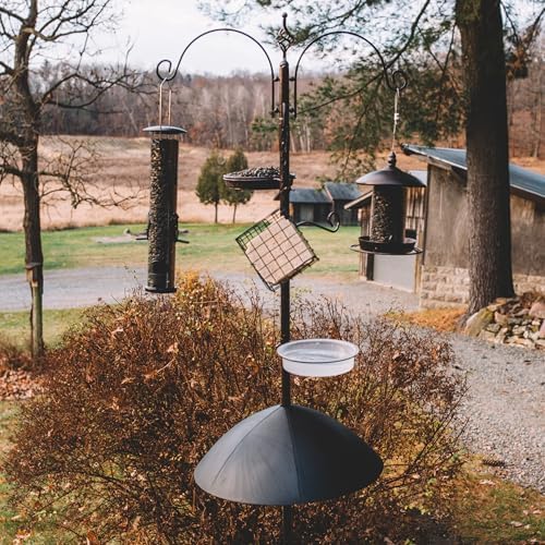 Backyard Expressions Heavy Duty Bird Feeding Station Kit w/Squirrel Baffle - 90" Bird Feeder Pole with 5 Prong Base, Suet Feeder, Mesh Feeding Tray, 4 Feeder Hooks, Water Dish - Black w/Gold Fleck