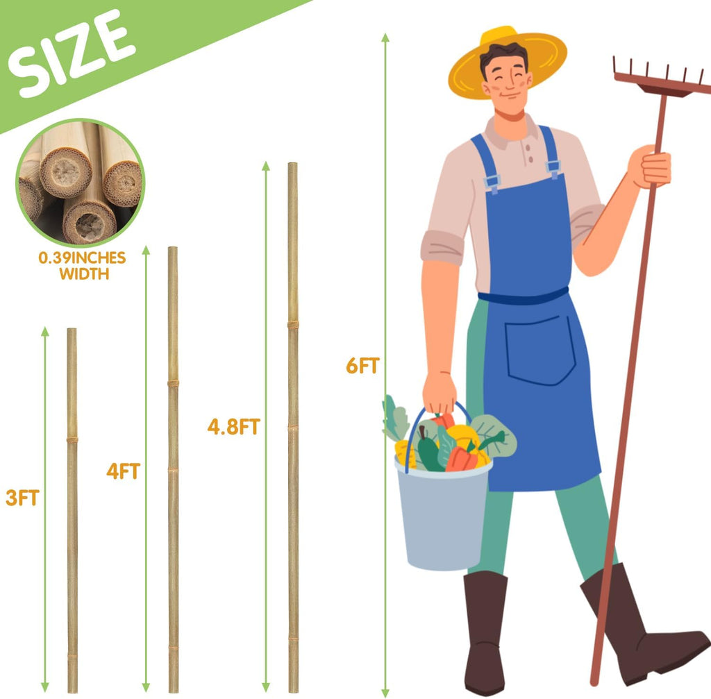 GAGINANG Natural Bamboo Garden Stakes, 4FT Trellis Plant Support 25Pcs | 4FT sturdy longer bamboo sticks for trellis