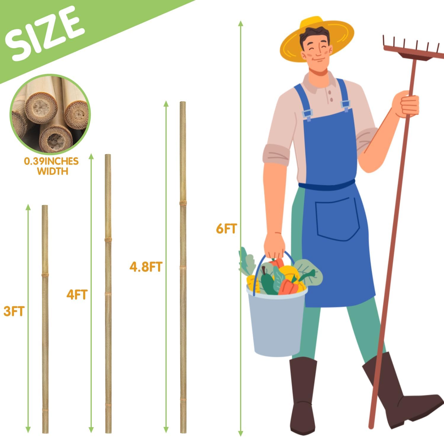 GAGINANG Natural Bamboo Garden Stakes, 4FT Trellis Plant Support 25Pcs | 4FT sturdy longer bamboo sticks for trellis