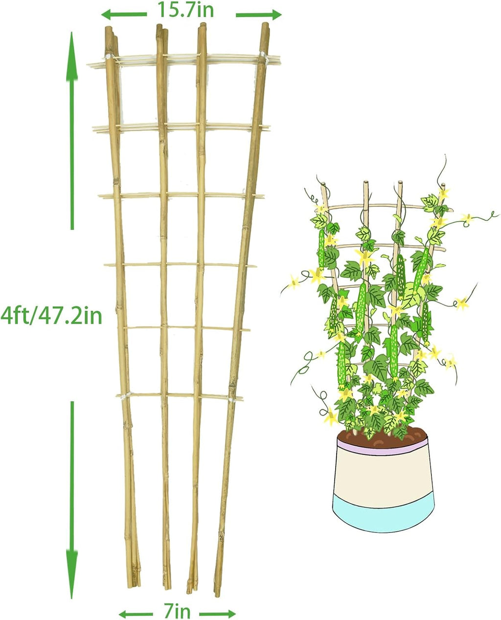 Natural Bamboo Trellis, 4Feet,3Pack,Fan-Shaped Plant Support Trellis for Outdoor and Indoor Potted Climbing