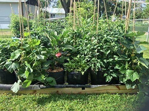 Best Root Pouch (5 Gallon)(10 Pack)(11"w x 10.25"H) Garden Grow Bag Container With Handles. Grow Bigger and Healthier