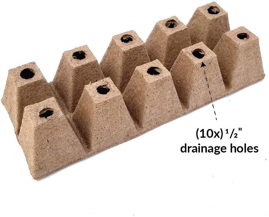 Jiffy Seed Starting Tray - Biodegradable, Plant Germination Cells - 20 Strips (200 Cells) - Peat