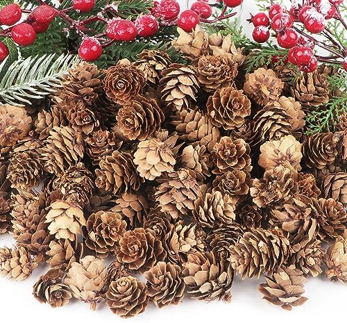 Jangostor 120 PCS Pine Cones Decorations, Natural Pine Cones Bulk - Mini Pine Cones Christmas Pine Cones for Table Christmas Tree Crafts Gifts Thanksgiving Fall and Xmas Home Decor