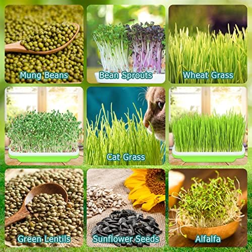 Legigo 5 Pack Seed Sprouter Trays, Microgreens Growing Trays Kit