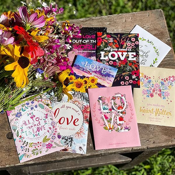 Love is All You Need - 25 Assorted Sunflower Packets for Planting, Helianthus Flower Seeds, Beautiful Valentine's Day