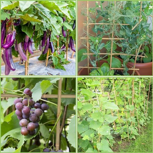 GAGINANG Natural Bamboo Garden Stakes, 3FT Trellis Plant Support 25Pcs