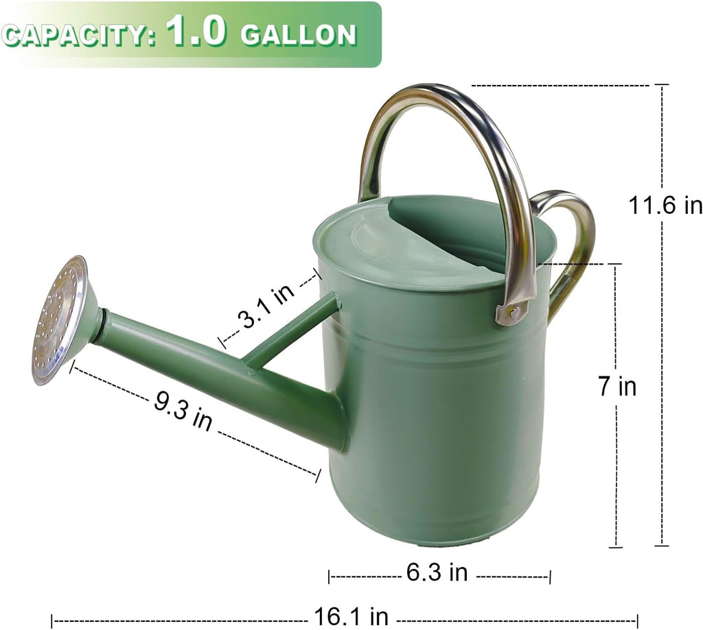 1 Gallon Metal Watering Can for Outdoor&Indoor Plants | Removable Sprinkler Head,Made of Premium Galvanized