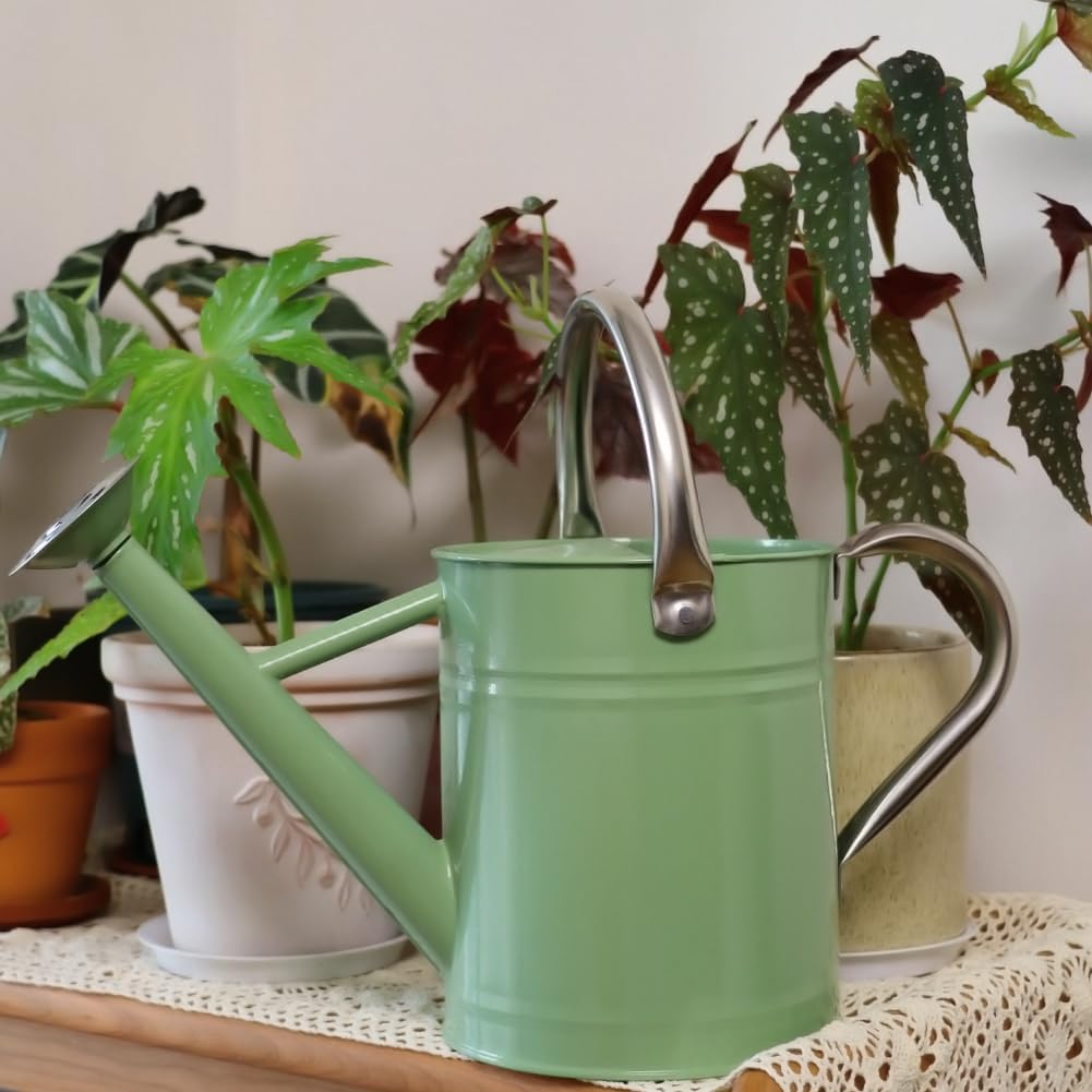 Metal Watering Can 1 Gallon for Outdoor Garden Plants, CGreen | Watering Cans Stainless Steel Handhold with Removable