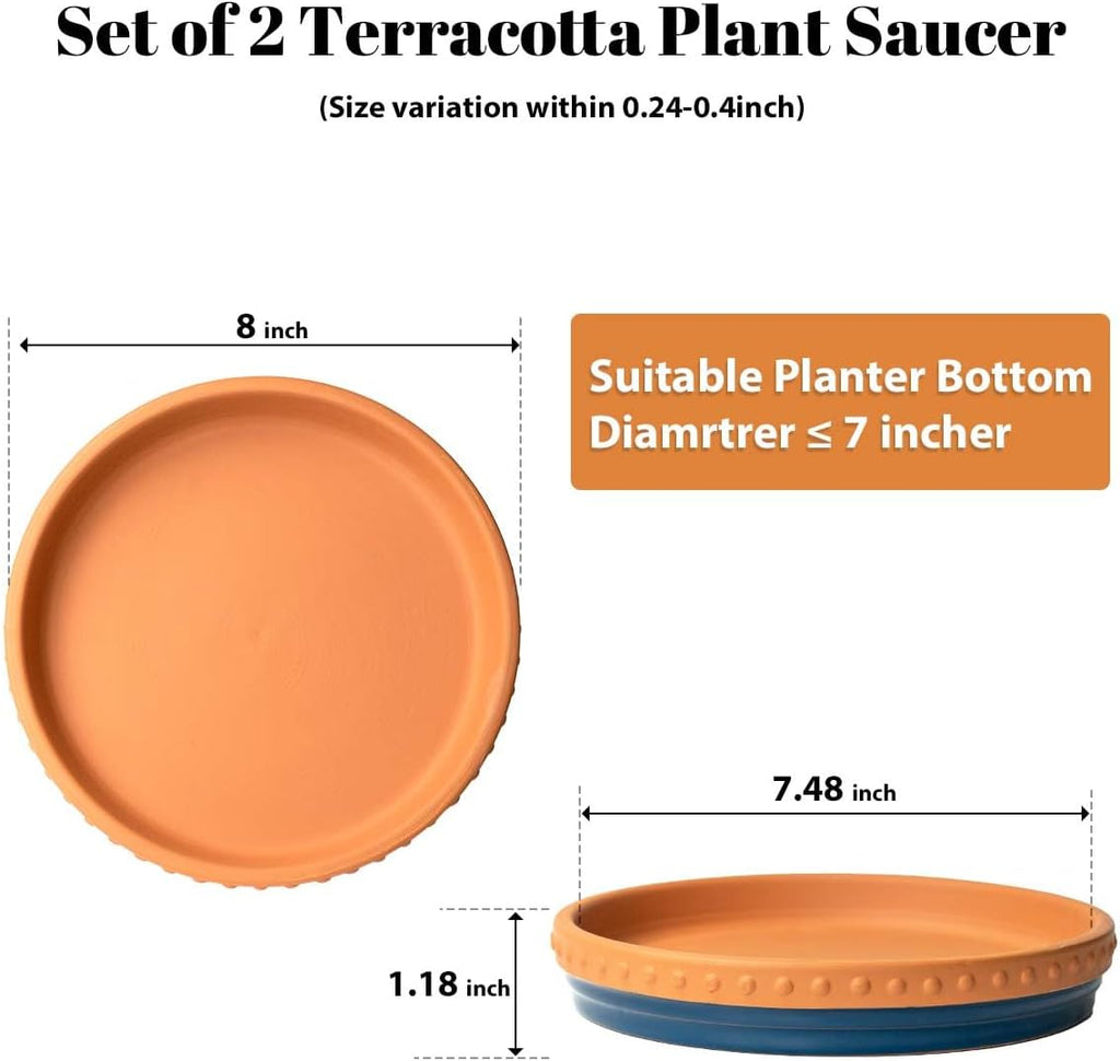 Plant Saucers, 8" Plant Trays to Catch Water, 2 Pcs, Premium Terracotta | Glazed navy blue and terracotta ceramic