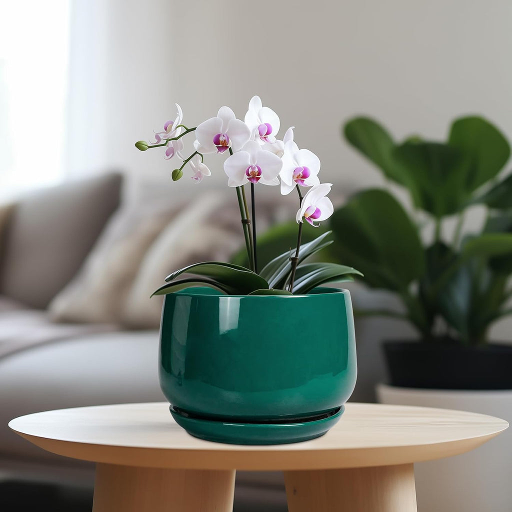 G EPGardening Ceramic Planter for Indoor Plants - 7 Inch Plant Pot, Round Planter with Drainage and Saucer, Round