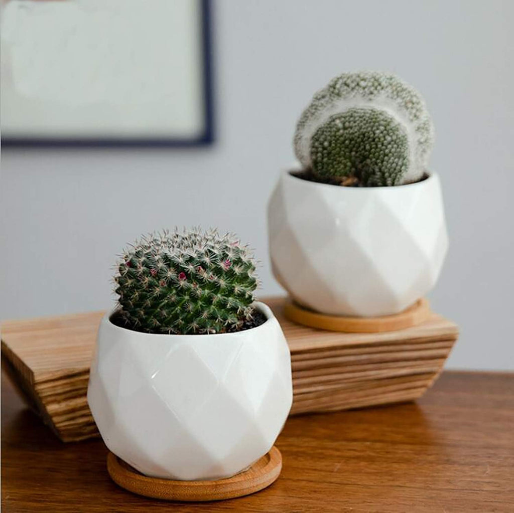 6 Pack Ceramic Succulent Planter Pot with Bamboo Tray, 4 Inch Small White Diamond Shaped Cactus Herb Flowers Planter