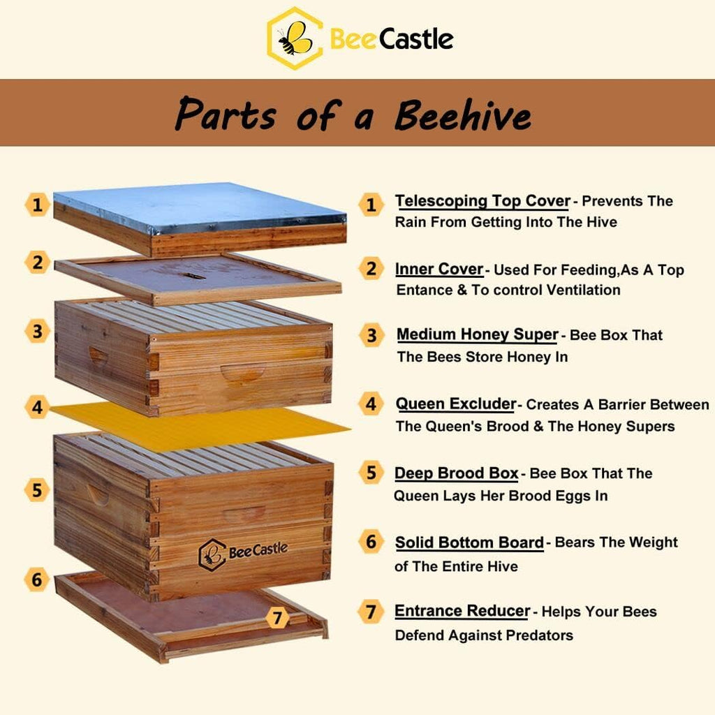 BeeCastle 10-Frames Complete Beehive Kit, 100% Beeswax Coated Bee Hive Includes Beehive Frames and Beeswax Coated