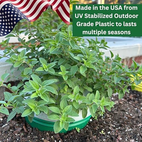 Outdoor Germination and Grow Kit with Greenhouse Domes - Direct Water and nutrients to Roots, Protect Seeds and Seedlings, 4 Sets, Purple, Made in The USA