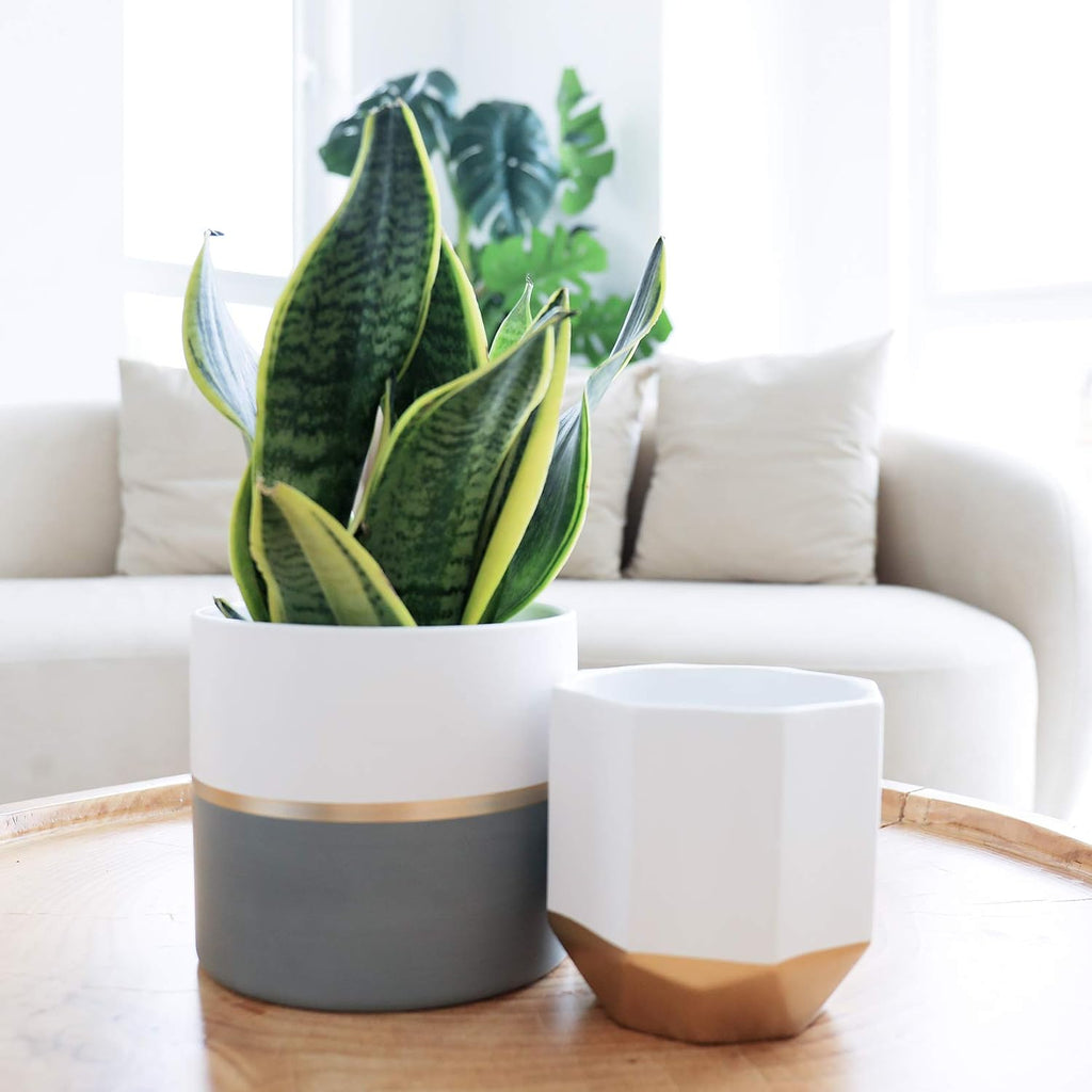 LA Jolie Muse Ceramic Flower Pots, 6.7 & 5.4 Inch Indoor Plant Pot Set of 2 | Modern Decorative Indoor Planters with