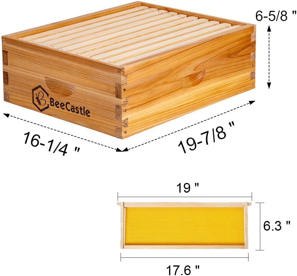 BeeCastle 10 Frame Medium Super Bee Hive Box, Langstroth Honey Bee Hive Dipped in 100% Beeswax Include Beehive Frames