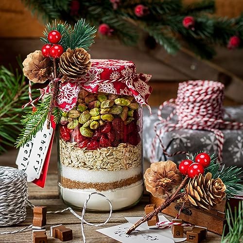 48 Pcs Christmas Floral Picks and Sprays Cone Berry Stems for Craft, Cute