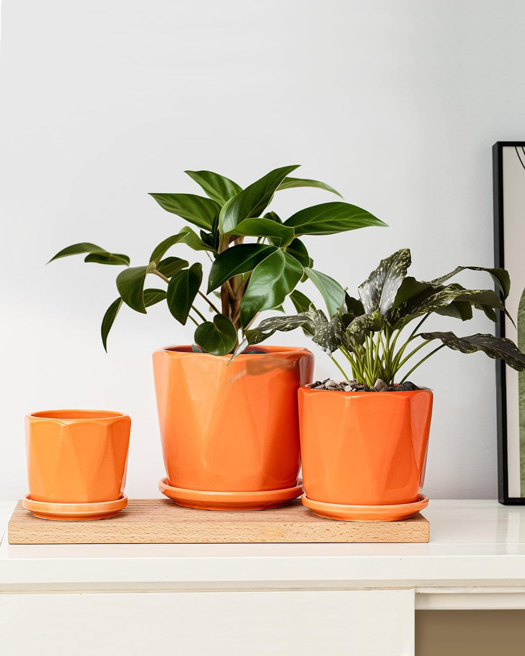 Ceramic Plant Pots Set of 3, Indoor Planter with Drainage Holes and Saucers | Orange Flower Pots for Indoor Plants