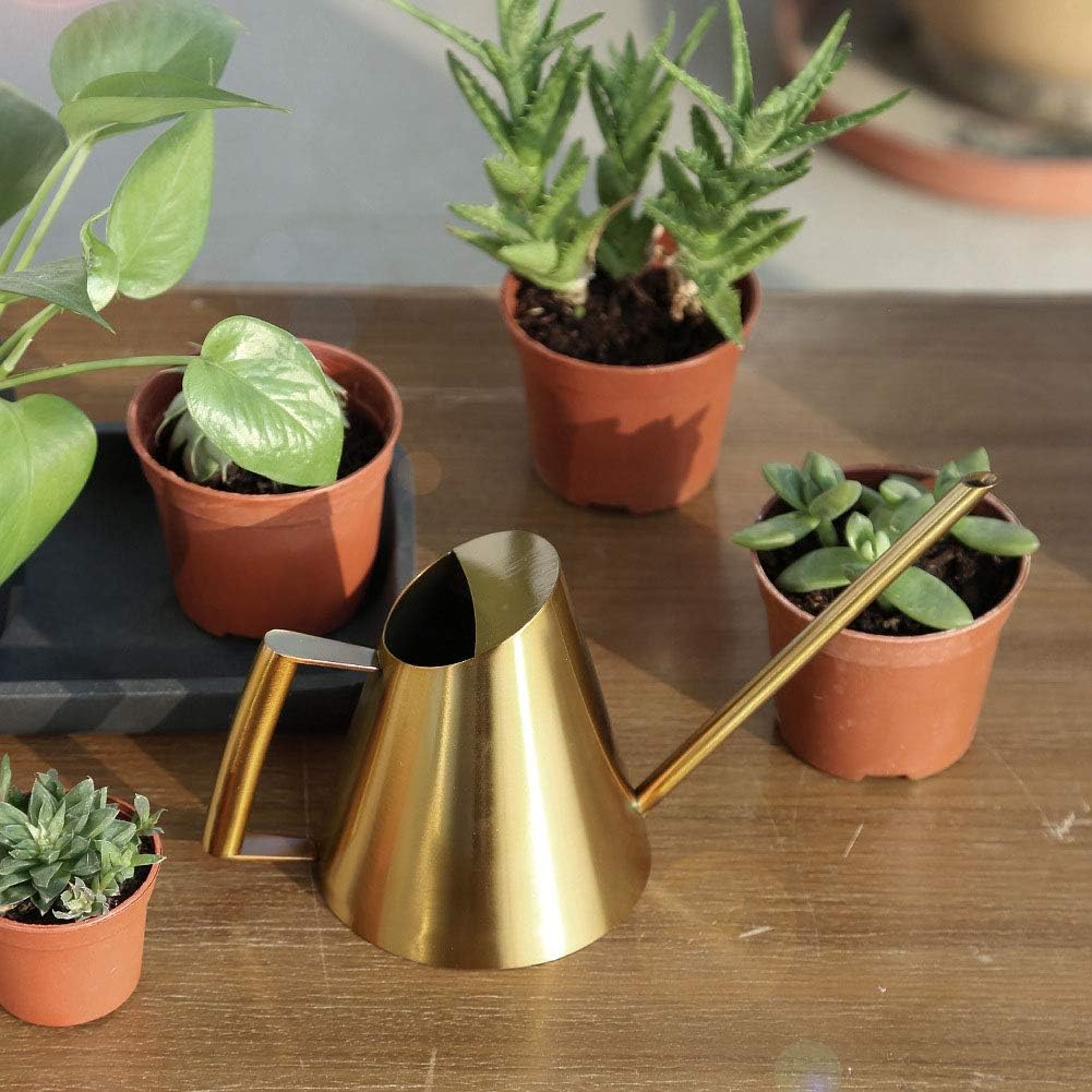 Fdit Stainless Steel Watering Can with Long Spout Steel Plant Waterer Watering Pot Sprinkle Pot Garden Flowers Plants