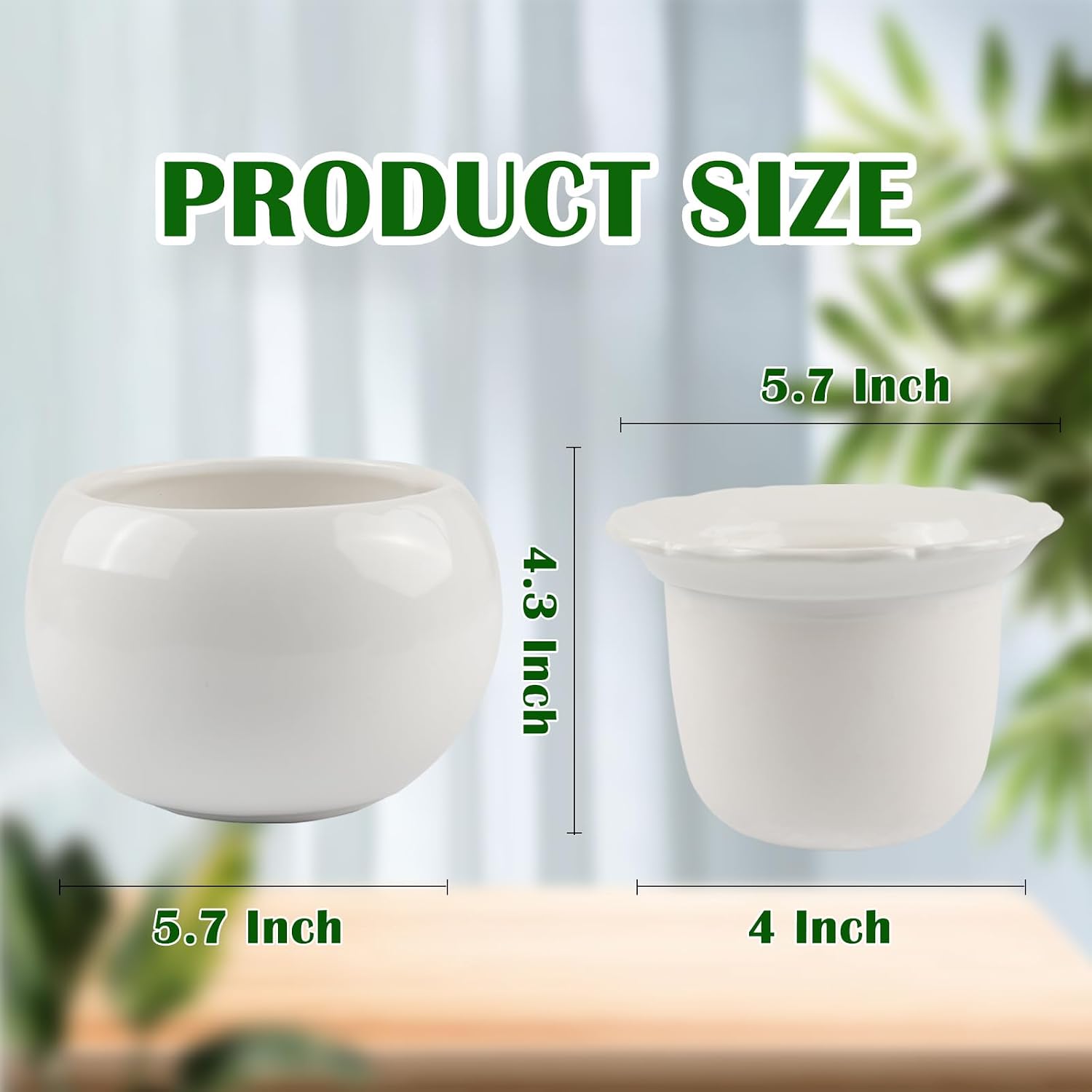 BUYMAX 6 Inch Self Watering Ceramic African Violet Pot Flower Pot Indoor | Absorbent Inner Pot Design | Automatic