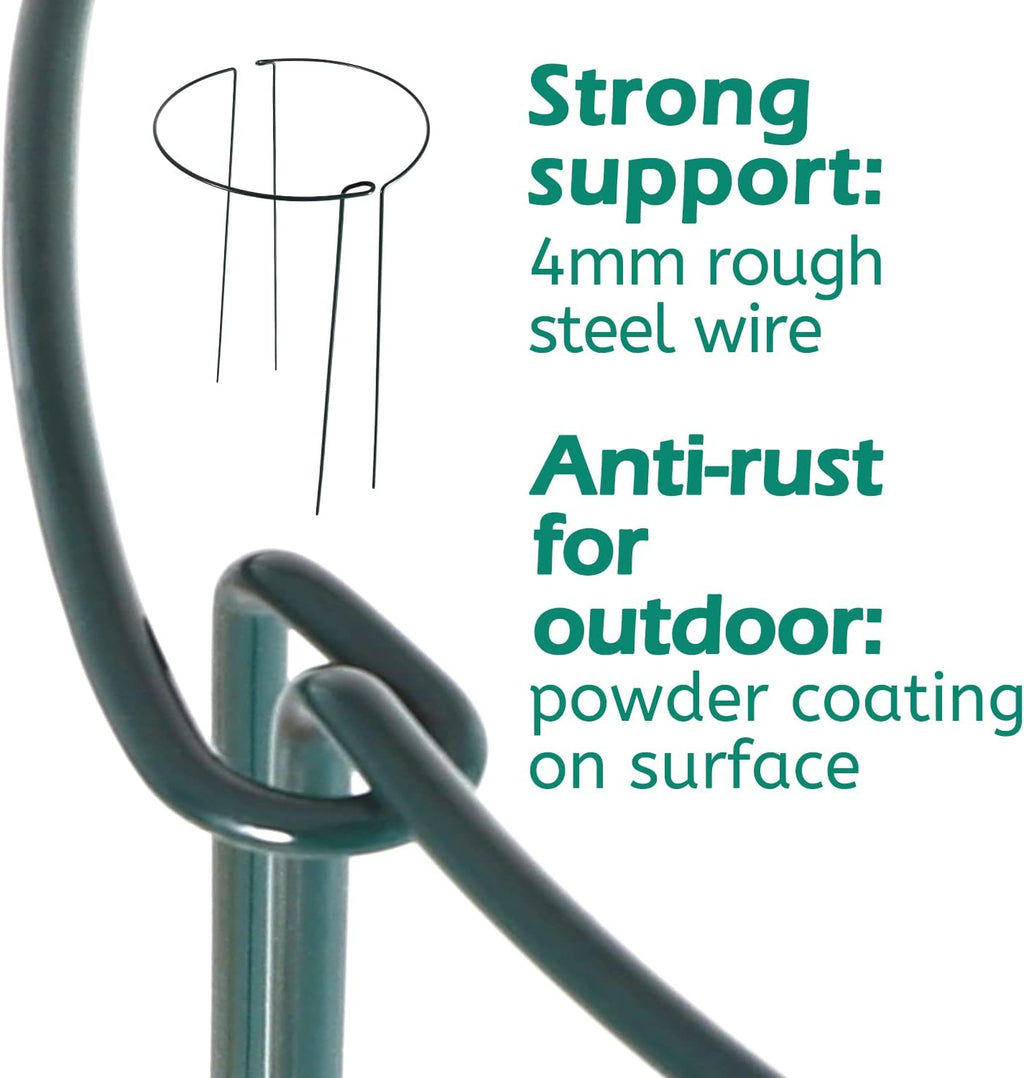 24 Pack Plant Support Stake, Half Round Metal Garden Plant Stake, Green Plant Support Ring, Border Support with Plant