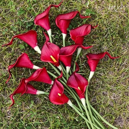 Letjolt Artificial Calla Lily Flowers 12Pcs, Dark Red
