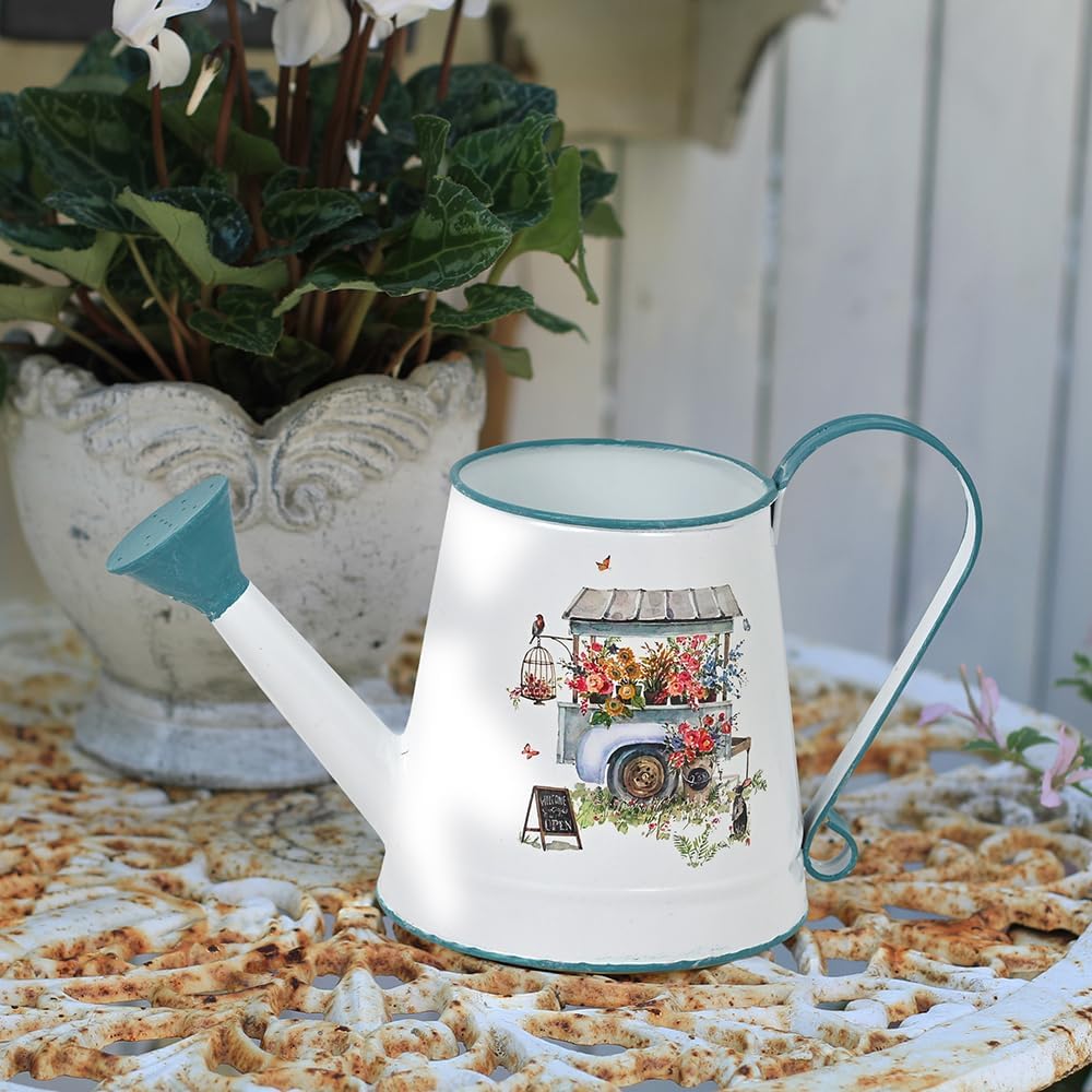Cute Small Watering Can Indoor Plants Garden Metal Decorative Watering Cans for Outdoor Plants Bonsai Outdoor Garden