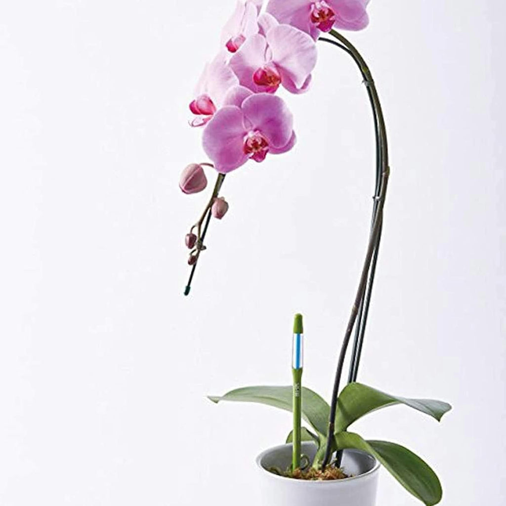 IPPINKA Sustee Aquameter - Bundle of 24 - House Plant Soil Moisture Meter - Best for Indoor Potted Plants, Large Green