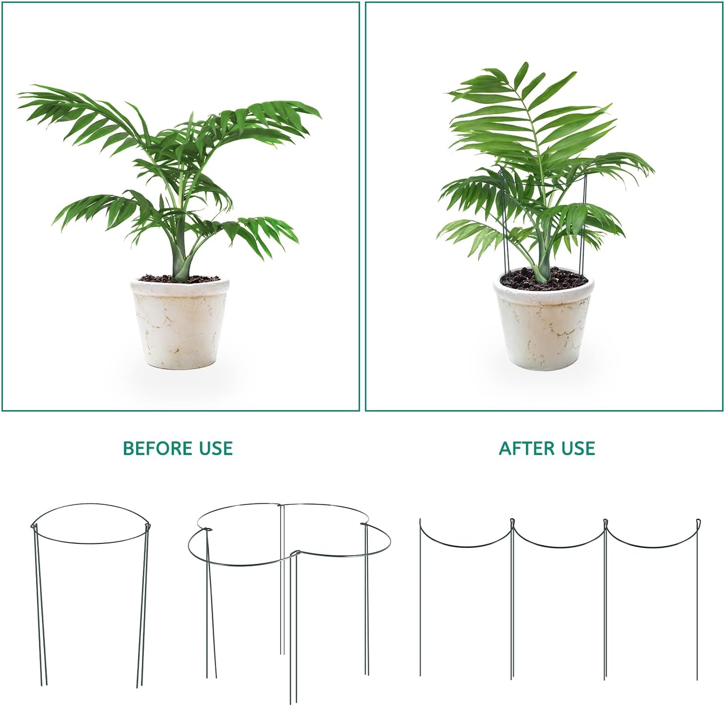 24 Pack Plant Support Stake, Half Round Metal Garden Plant Stake, Green Plant Support Ring, Border Support with Plant