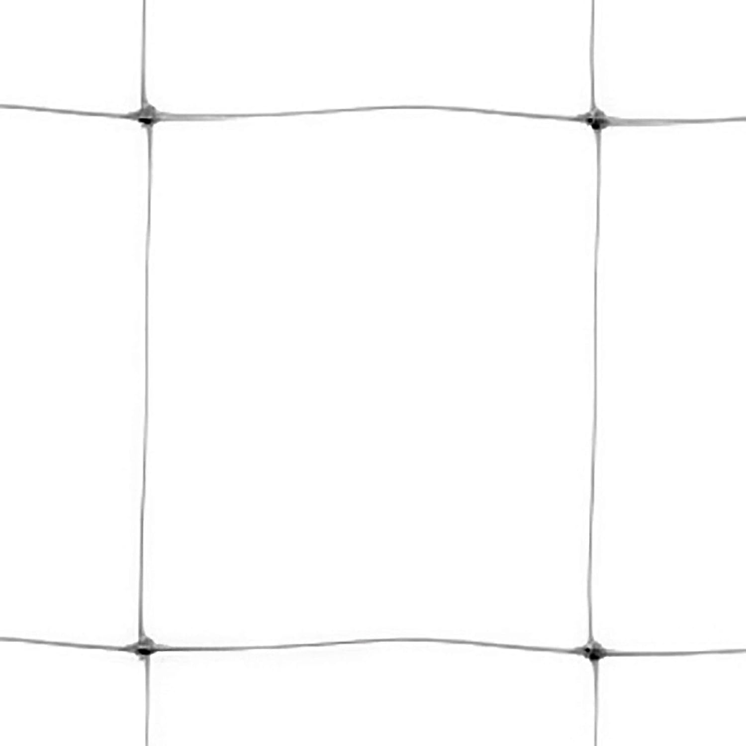 TENAX Hortonova Trellis 6.5x100 White Net
