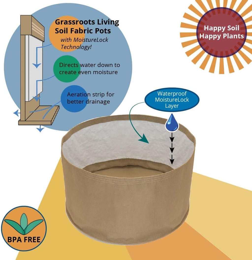 Grassroots Fabric Pot 5 Pack | Grow Bag for Plants Indoors | Living Soil Planter Pots for Outdoor Plants (10 Gallon)