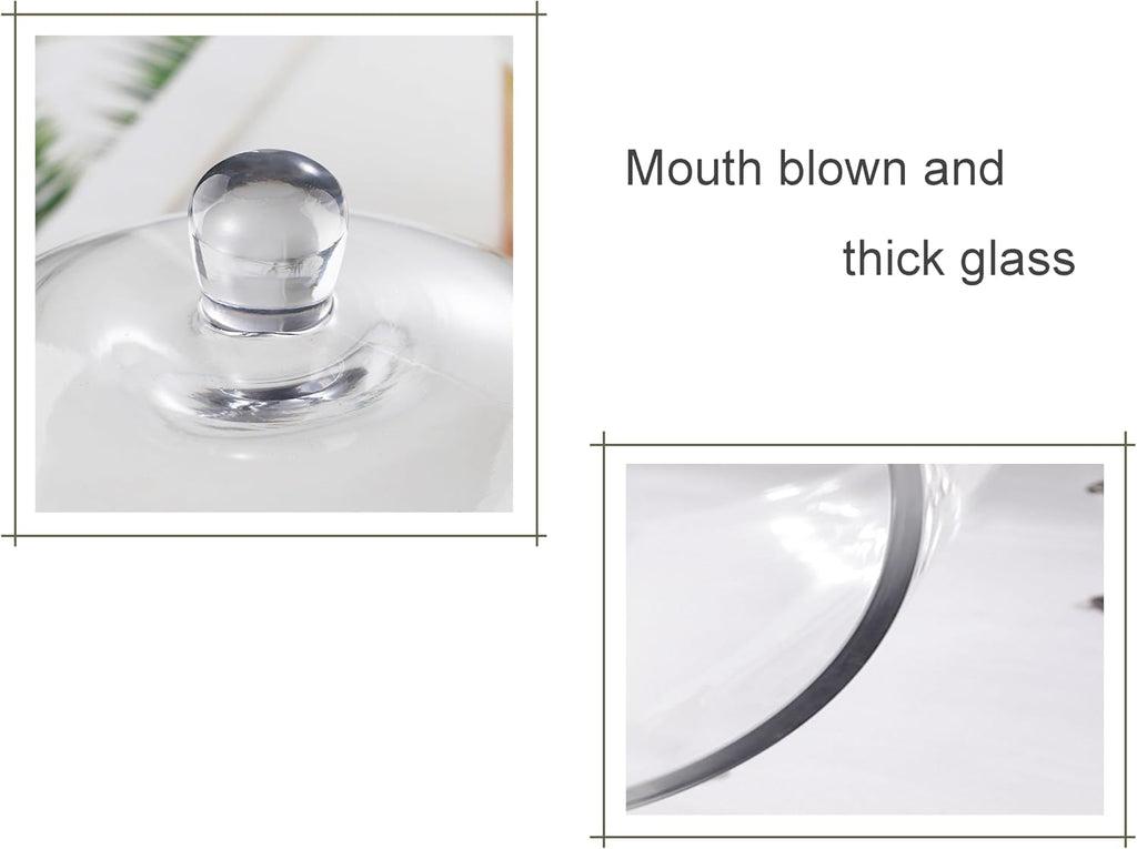 7.5" Tall Handmade Glass Cloche, Thick & Sturdy, Dia 5"xH 7.5", For Terrarium, Plants, Trinkets, Cakes, Figurines, LED