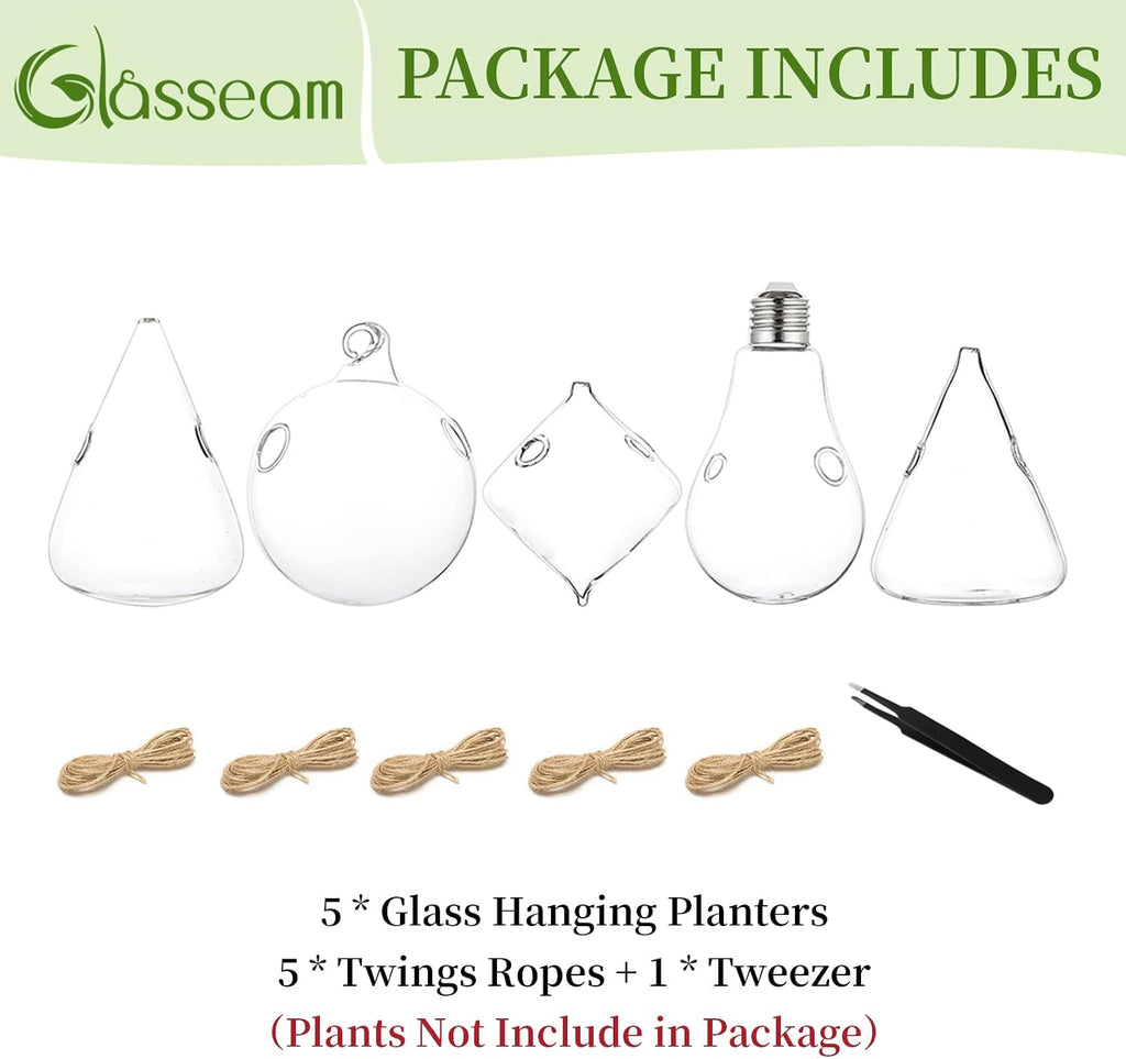 Glasseam Hanging Plant Propagation Station: 5Pcs Small Glass Terrarium Jars | Hydroponic Planters for Indoor Pothos