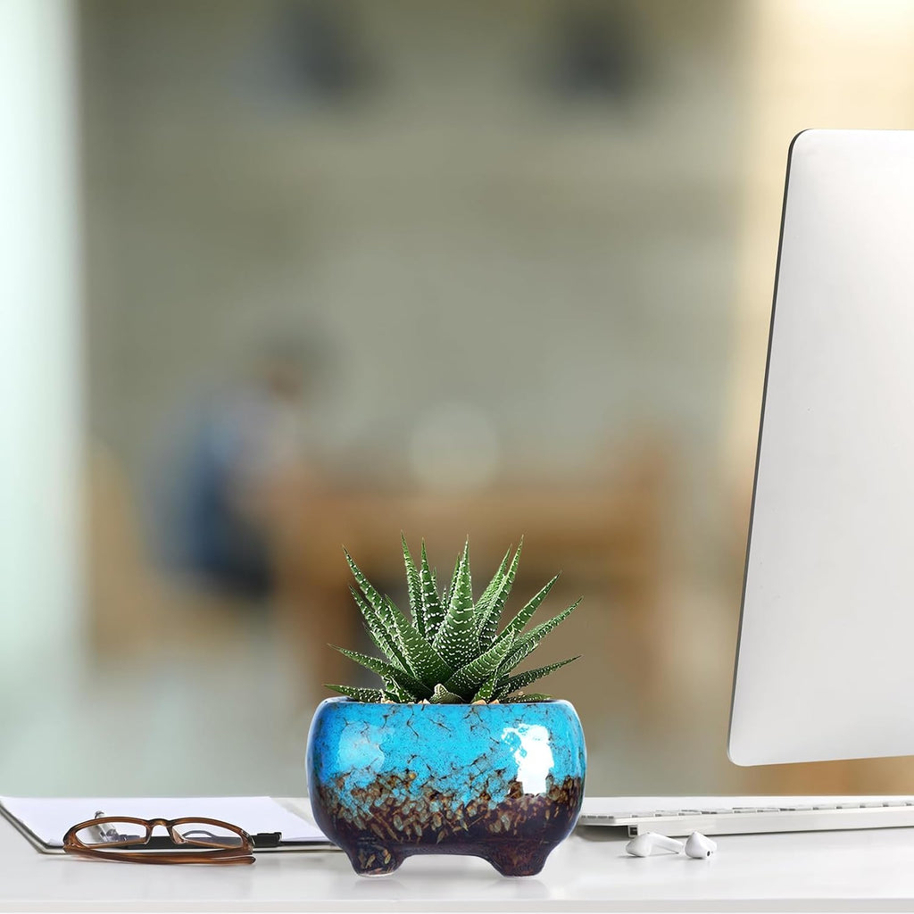 ARTKETTY Succulent Pots, 4.7 Inch Small Plant Pots with Drainage Pack of 5 | Ceramic Planters for Indoor Cactus Plants