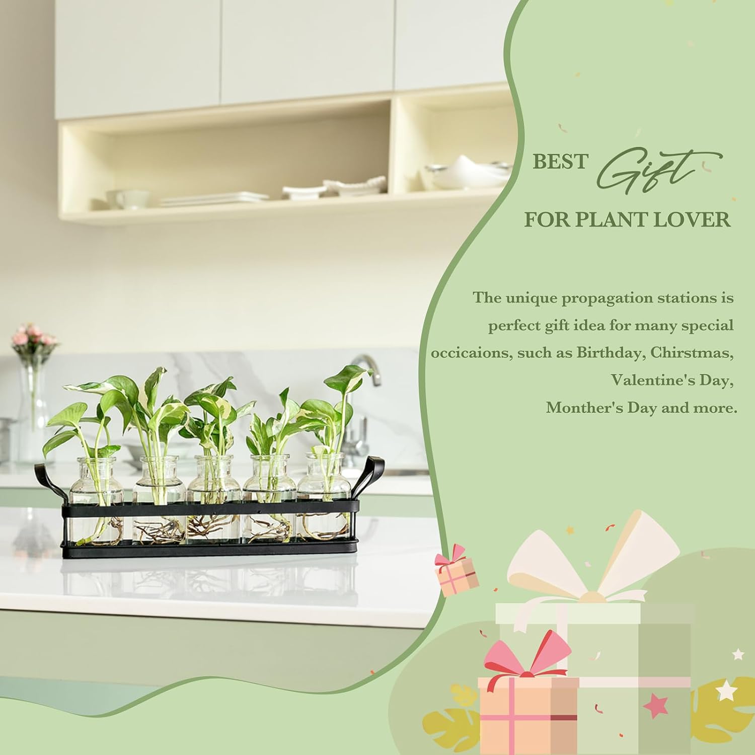 Mkono Propagation Stations, 5 Jars Desktop Glass Plant Terrarium with Stand | Flower Vase, Hydroponic Cuttings, Easy