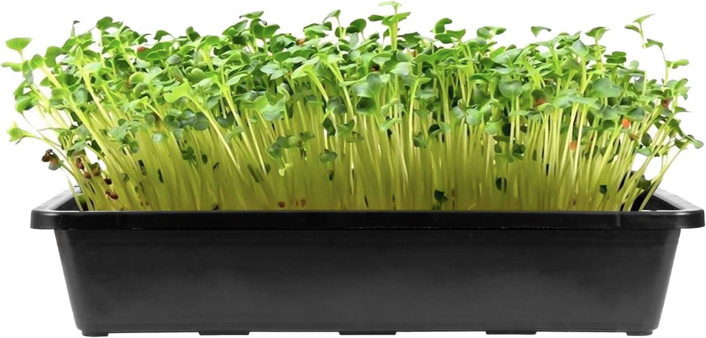 MOUYAT 14 Pack 15 x12 Inch Seed Starter Trays, Plastic Mesh Bottom Growing Trays, Plant Germination Trays for