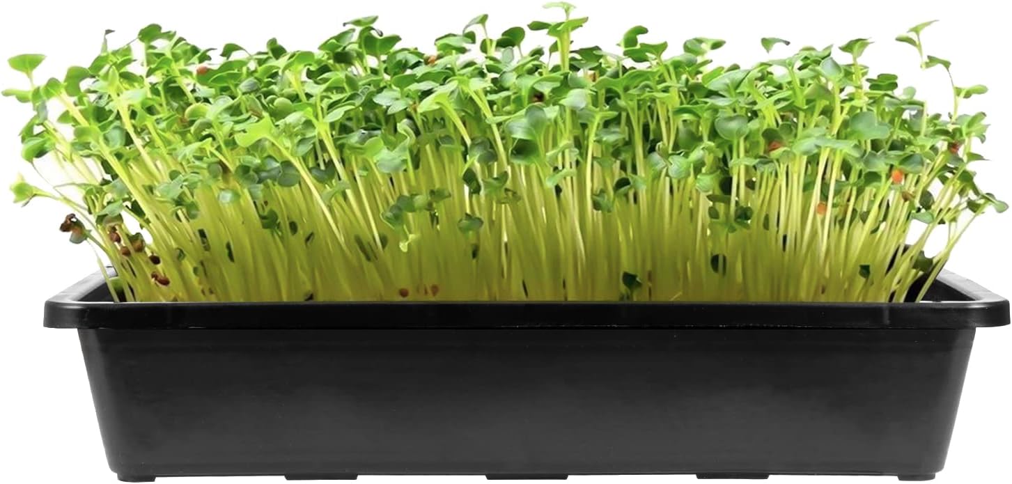 MOUYAT 14 Pack 15 x12 Inch Seed Starter Trays, Plastic Mesh Bottom Growing Trays, Plant Germination Trays for