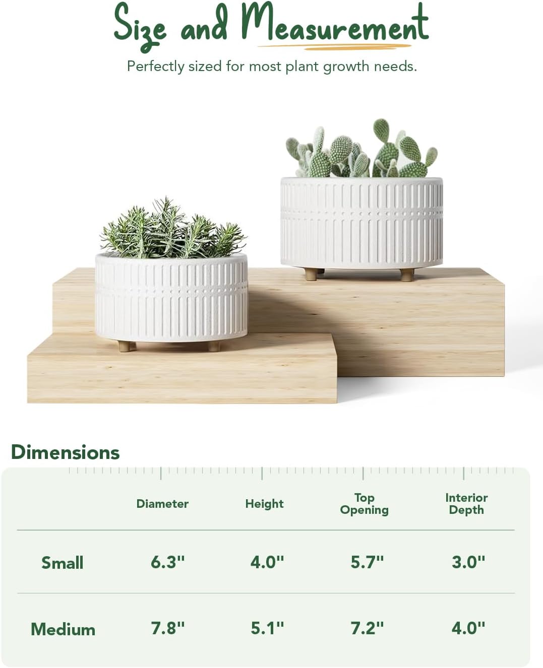 LE TAUCI Succulent Pots, 6.5+8 Inch Ceramic Indoor Plant Pot with Drainage Hole, Shallow Round Succulent Planters, Set