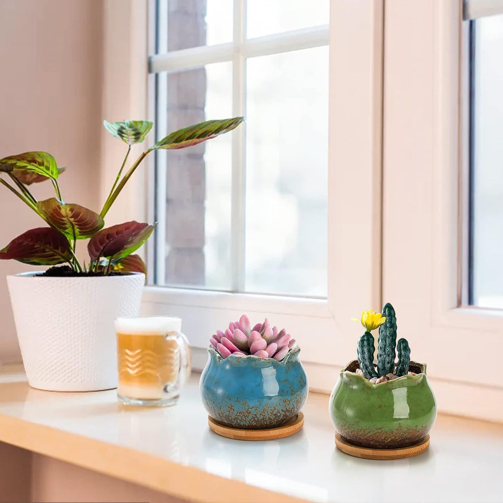 TOPZEA Set of 6 Succulent Plant Pots, 4 Inch Glazed Ceramic Pots with Drainage and Saucer, Mini Bonsai Planter Small