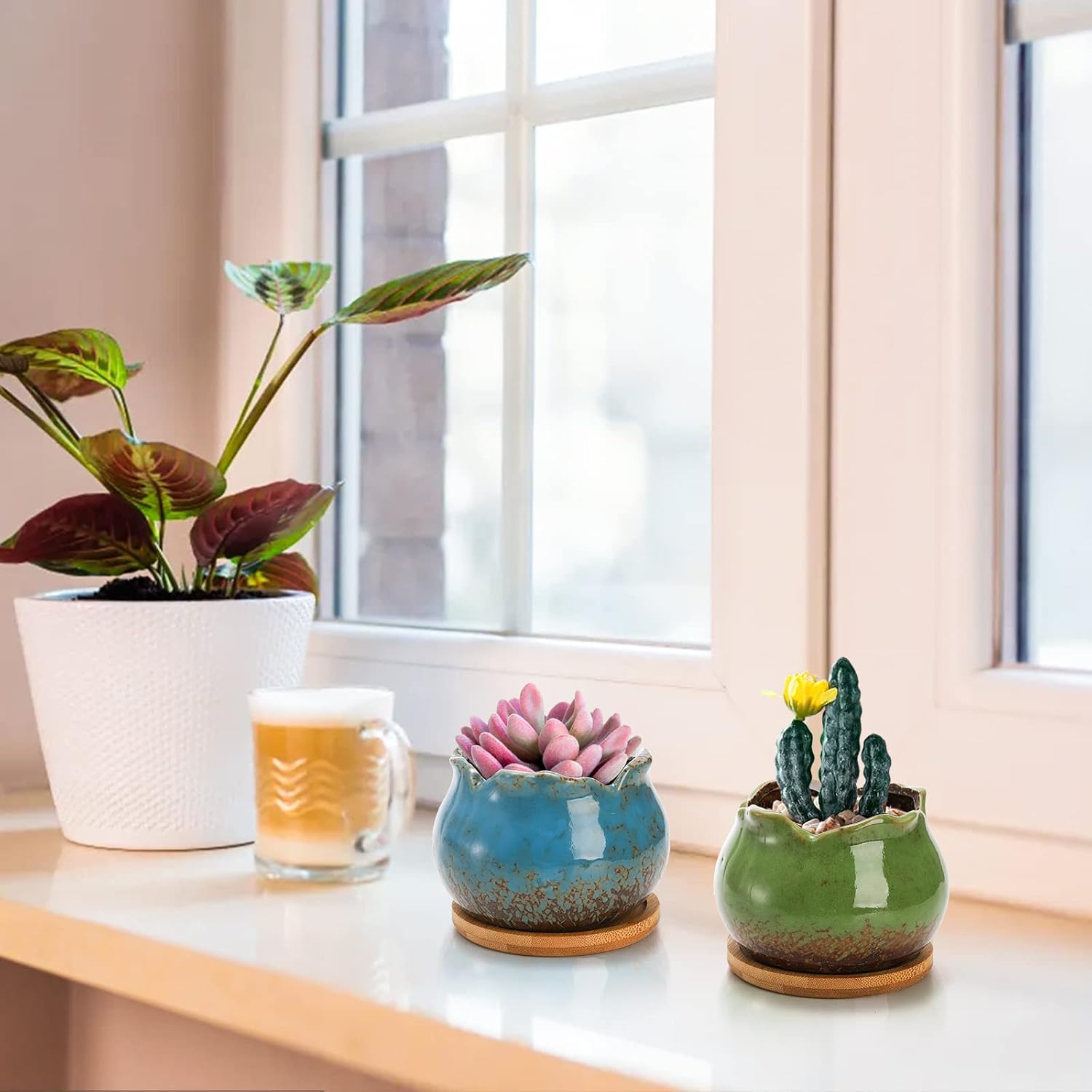 TOPZEA Set of 6 Succulent Plant Pots, 4 Inch Glazed Ceramic Pots with Drainage and Saucer, Mini Bonsai Planter Small