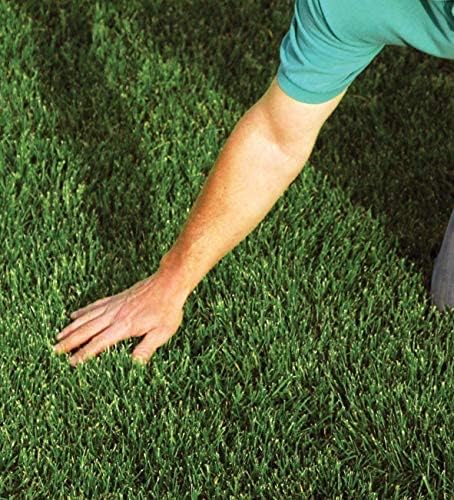 EZ Straw Lawn Repair Mix Tall Fescue Blend - Seed, Mulch and Fertilizer Combination, 11lbs (Covers 200sq ft.)
