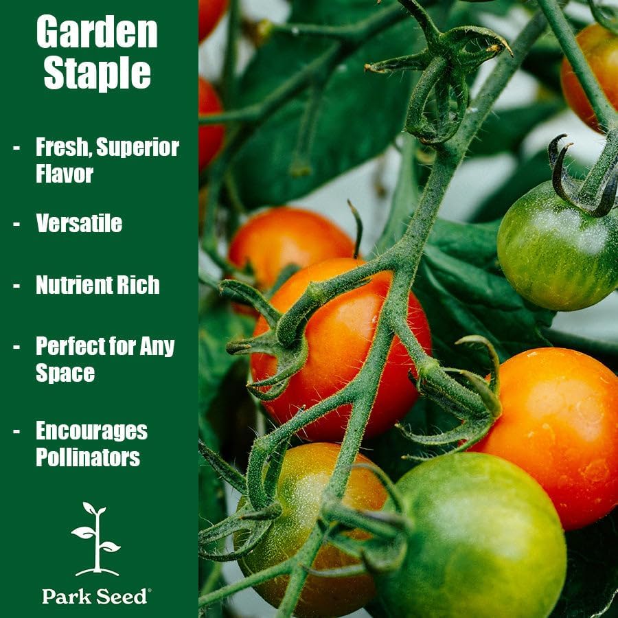 Park Seed Variety of Tomato Seeds, Planting Vegetables, Easy to Grow, Non-GMO, Perfect for Harvesting, Mountain Fresh
