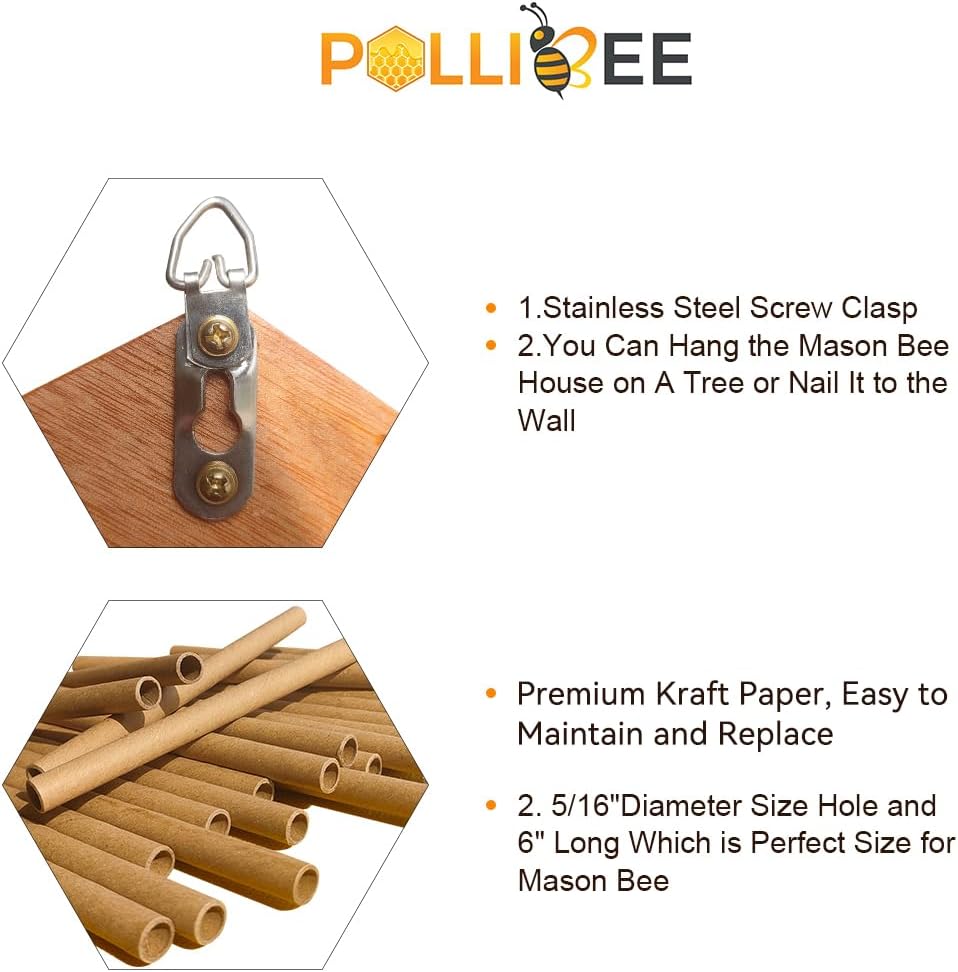 Mason Bee House - Handmade Natural Wooden Bee Hive Coated with Wax for Water-Proof and Long Service Life - Attracts