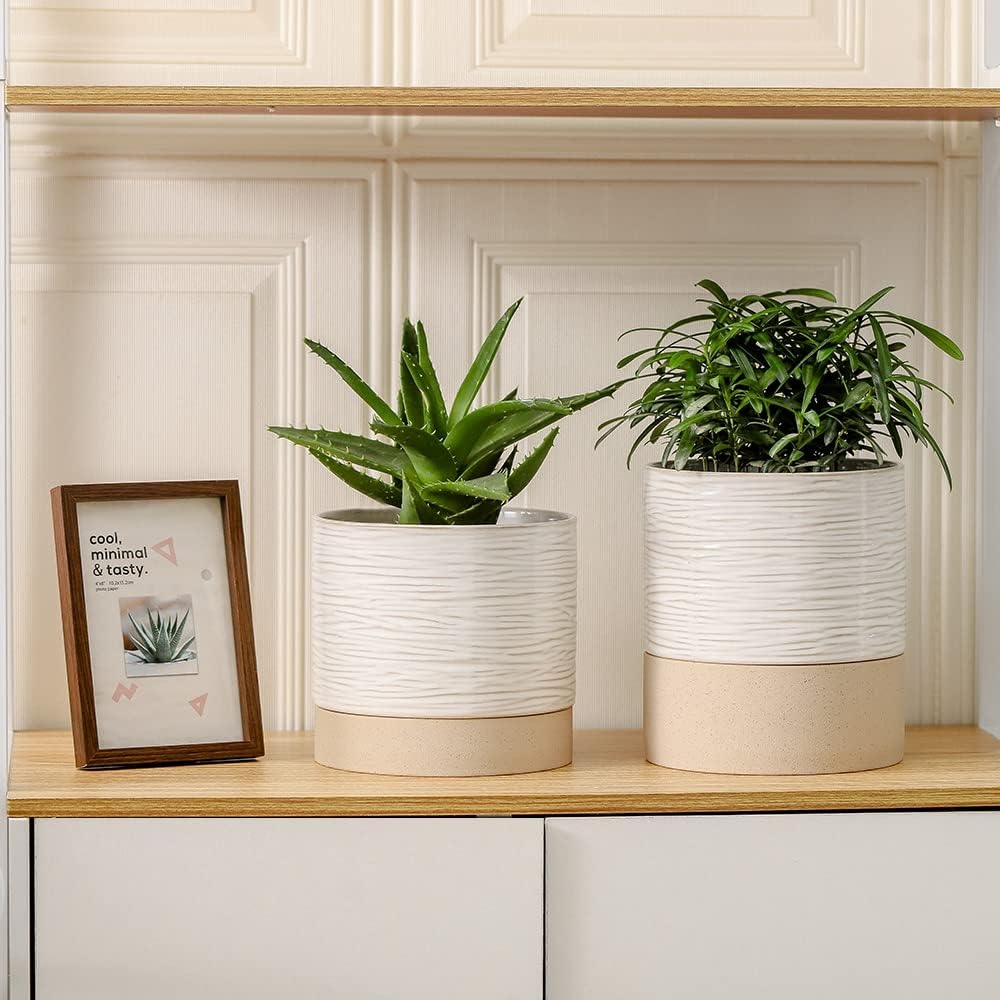 Nihow Ceramic Self Watering Plant Pot for Indoor Plants, 6 Inch,Cream White | Planter with Cotton Wick, Drainage Hole &