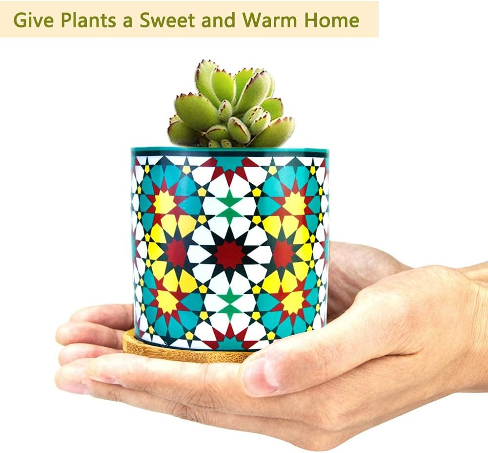 6 Pack Mandala Succulent Plant Pot with Bamboo Trays, Ceramic Multicolored Succulent Container Planter Pot for Small