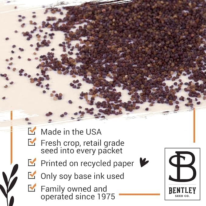 Make Your Heart Flutter 25 Bird and Butterfly Wildflower Seed Packets for Planting, A Beautiful Valentines Day Gift