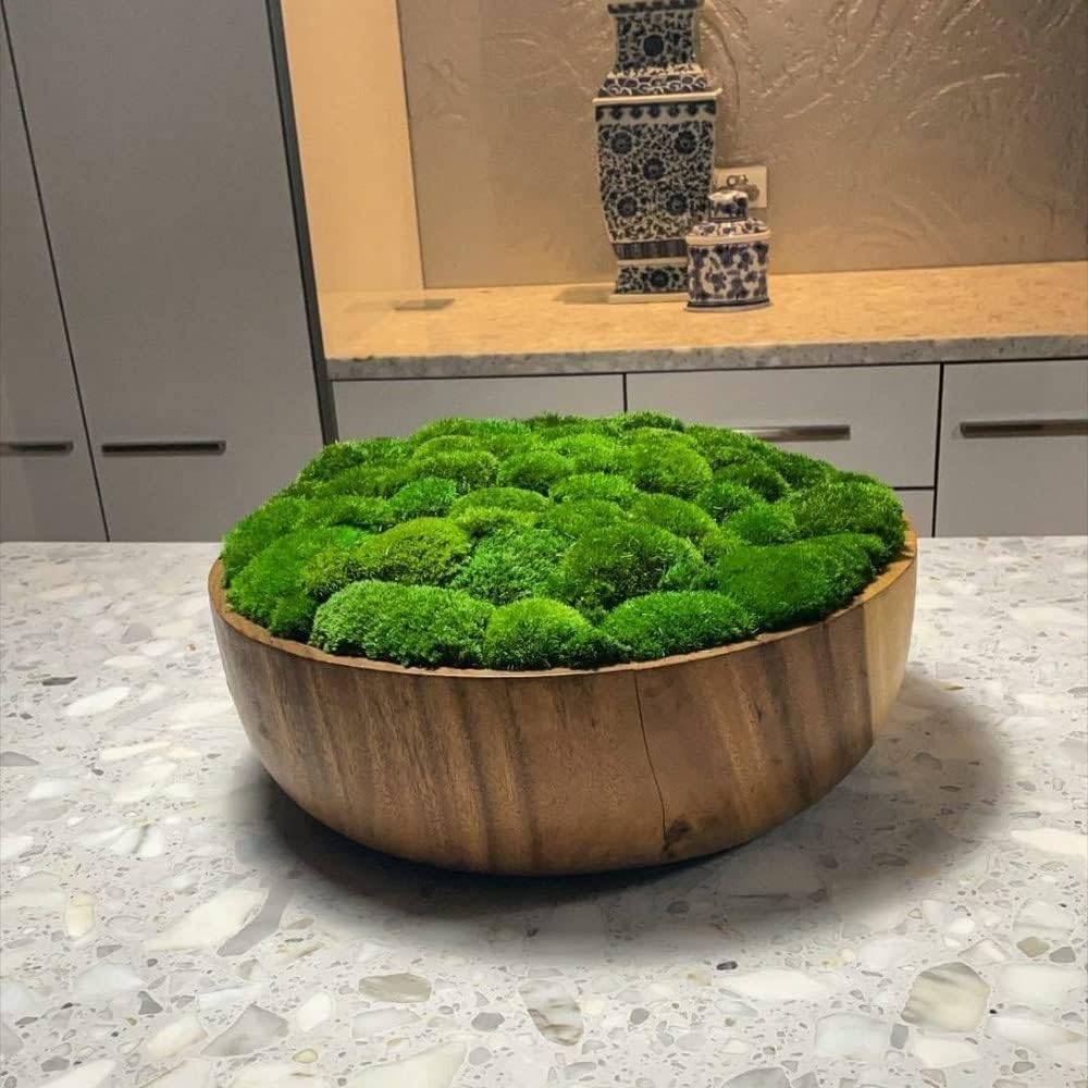 Preserved Pole Moss Pillow Bun Cushion Natural Green Decorative Real Natural Green DIY Kit Terrariums Gardenning Art
