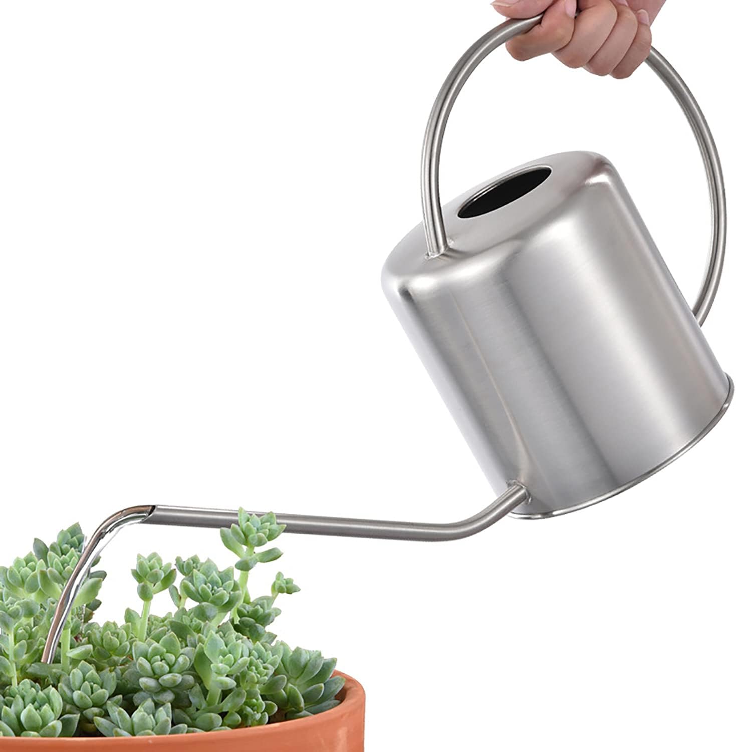 Fasmov 51 Oz Stainless Steel Watering Can Modern Style Watering Pot, Watering Can with Long Spout for Easy Pour, Water