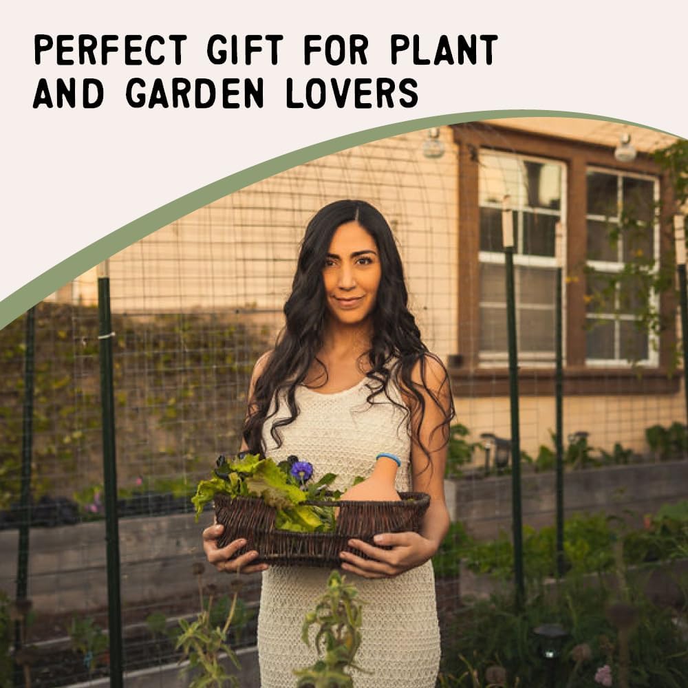 Medium OYA Irrigation Pot for Garden Bed, Raised Planters and Grow Bags | Self Watering Pots with an Olla Watering