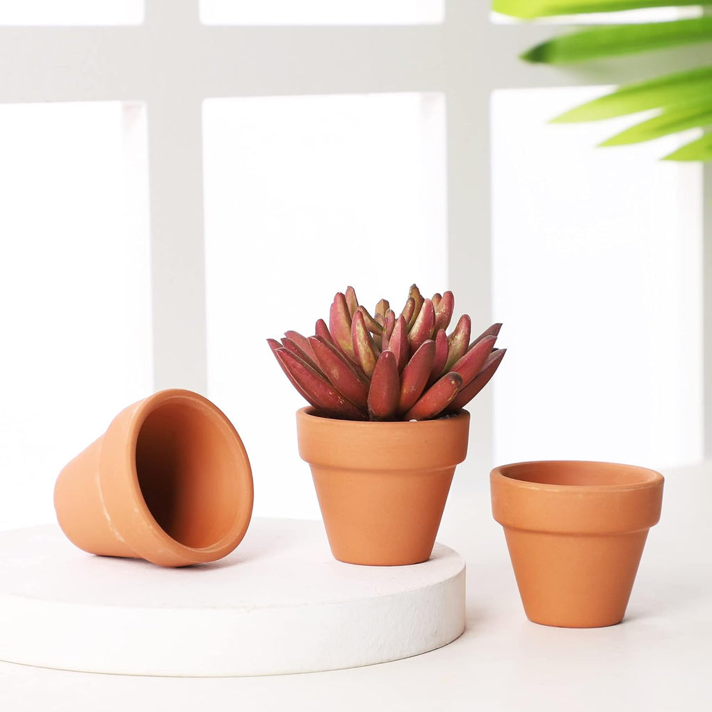 Yishang 1.9 Inch Tiny Terracotta Pots Pack of 72-Small Mini Clay Pots with Drainage Holes Flower Nursery Terra Cotta